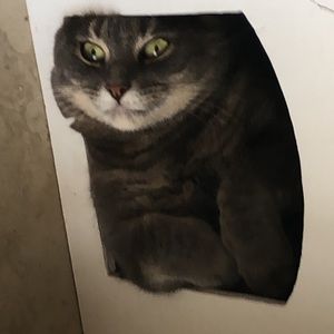 Meet your Posher, Miles